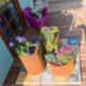 GrillSymbol Cor-Ten Steel Flower Pot Set Sisters GrillSymbol Cor-Ten Steel Flower Pot Set Sisters
