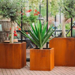 Petteri Wiimaa Corten kukkaruukku setti Large Clara Set