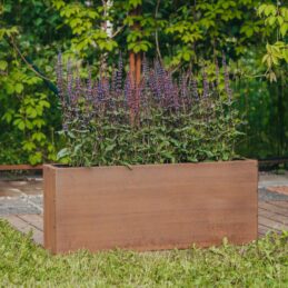 Petteri Wiimaa Corten kukkaruukku Lilly-S