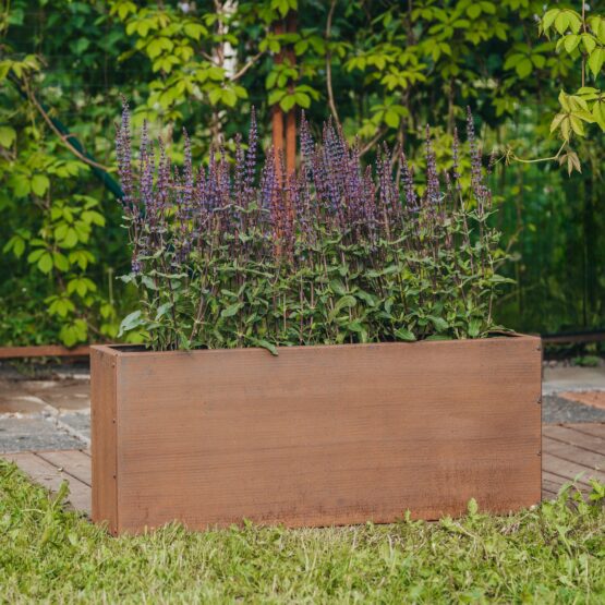 Petteri Wiimaa Corten kukkaruukku Lilly-S