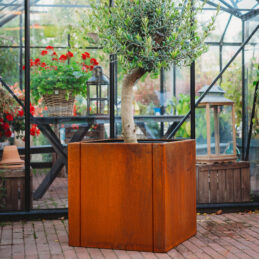 Petteri Wiimaa Corten istutusastia Clara 3XL