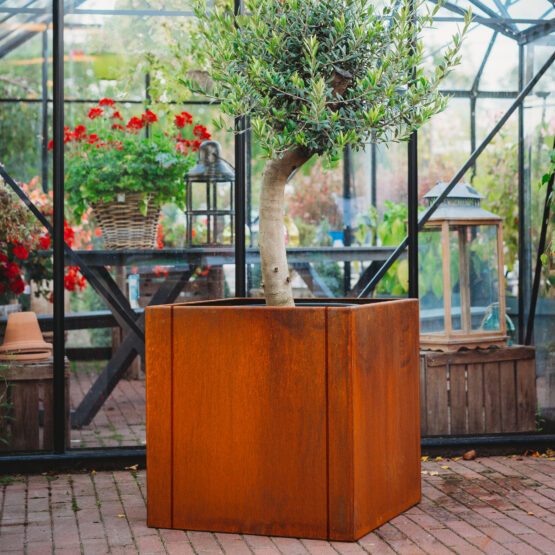 Petteri Wiimaa Corten istutusastia Clara 3XL