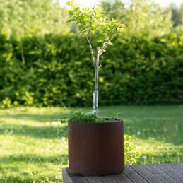 Petteri Wiimaa Corten kukkaruukku Myy-XXL, ø 80 cm Buy 3, Get 4