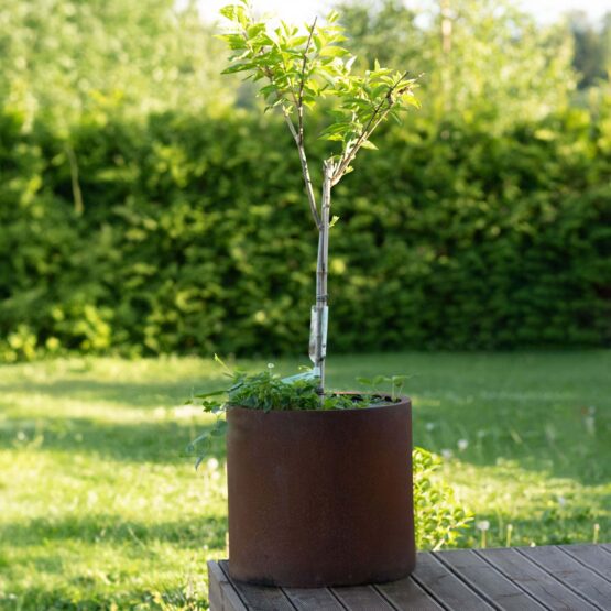 Petteri Wiimaa Corten kukkaruukku Myy-XXL, ø 80 cm Buy 3, Get 4 Petteri Wiimaa Corten kukkaruukku Myy-XXL, ø 80 cm Buy 3, Get 4